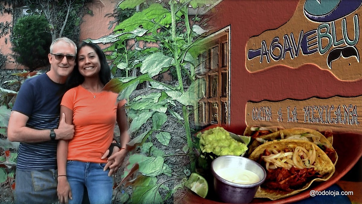 AGAVEBLU – Exquisite Organic Mexican Food in Vilcabamba