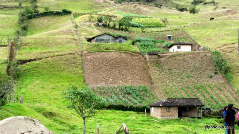 Salud 
          Vivir con la naturaleza en Ecuador